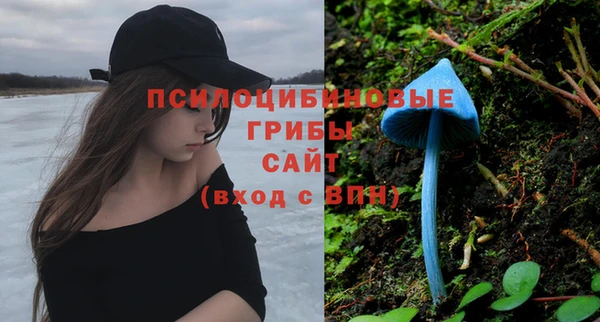 mdpv Арсеньев