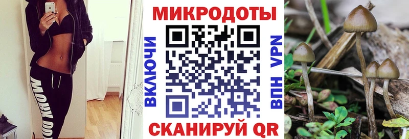 Псилоцибиновые грибы мицелий  Кизел 